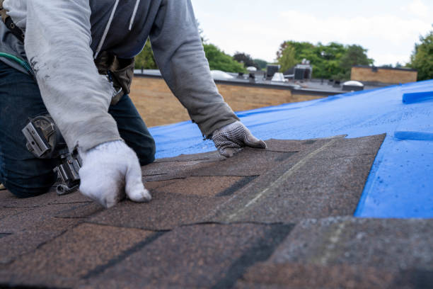 Best Gutter Installation and Roofing  in West Deland, FL
