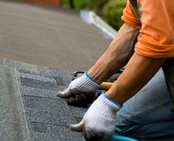Best Roof Leak Repair  in West Deland, FL