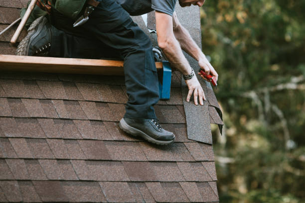 Best Local Roofing Companies  in West Deland, FL